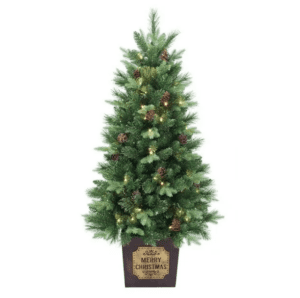 Árbol en canasta o maceta